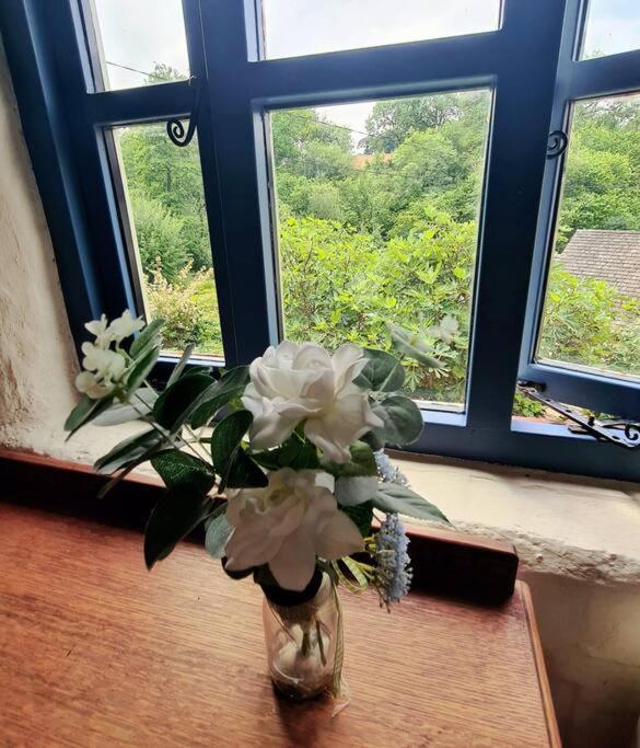 Mill Cottage Garden Annexe 牛顿阿伯特 外观 照片