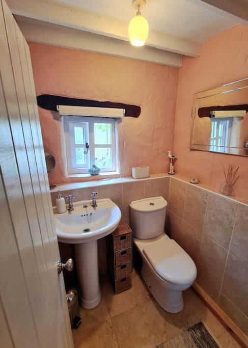 Mill Cottage Garden Annexe 牛顿阿伯特 外观 照片