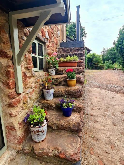 Mill Cottage Garden Annexe 牛顿阿伯特 外观 照片