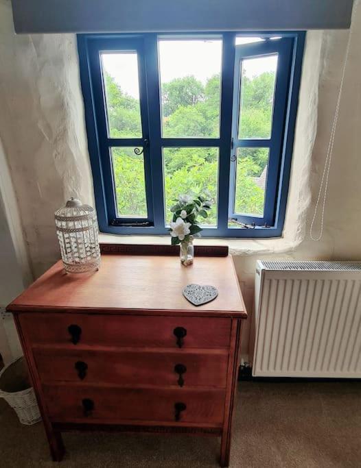 Mill Cottage Garden Annexe 牛顿阿伯特 外观 照片